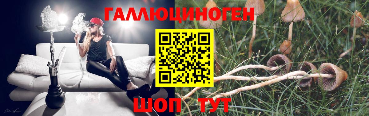 купить наркотик  Псилоцибиновые грибы Psilocybine cubensis  Вход с VPN  Галлюциногенные грибы прущие грибы  Елабуга 