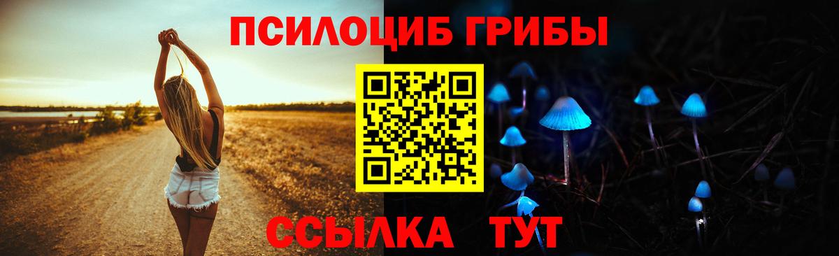 Галлюциногенные грибы Magic Shrooms Елабуга